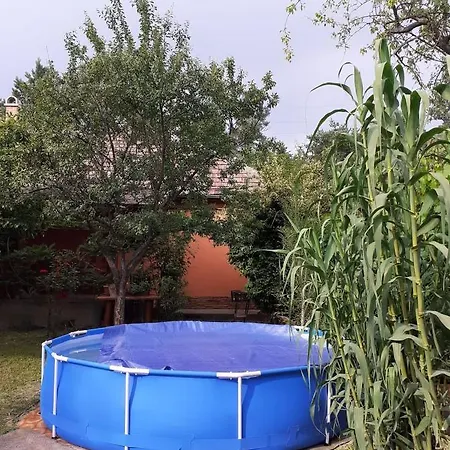 Affittacamere Vadregeny Vendeghaz 3*