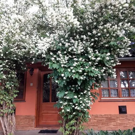 Vadregeny Vendeghaz Affittacamere 3*