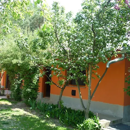 Affittacamere Vadregeny Vendeghaz 3*